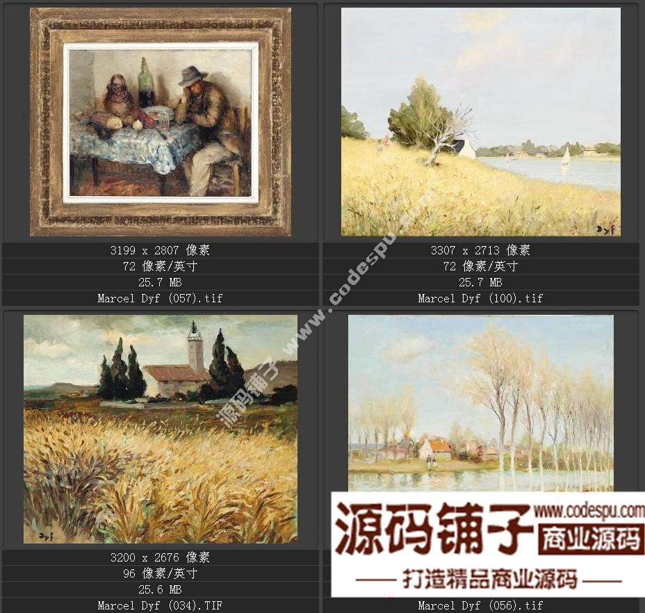 法國(guó)后印象派畫家★馬塞爾.德福〓油畫作品高清圖片115幅