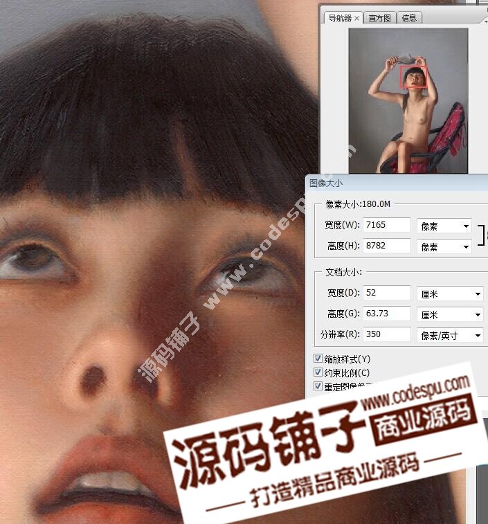 FҸͮϼDƬ ˇg΢450G ͮز