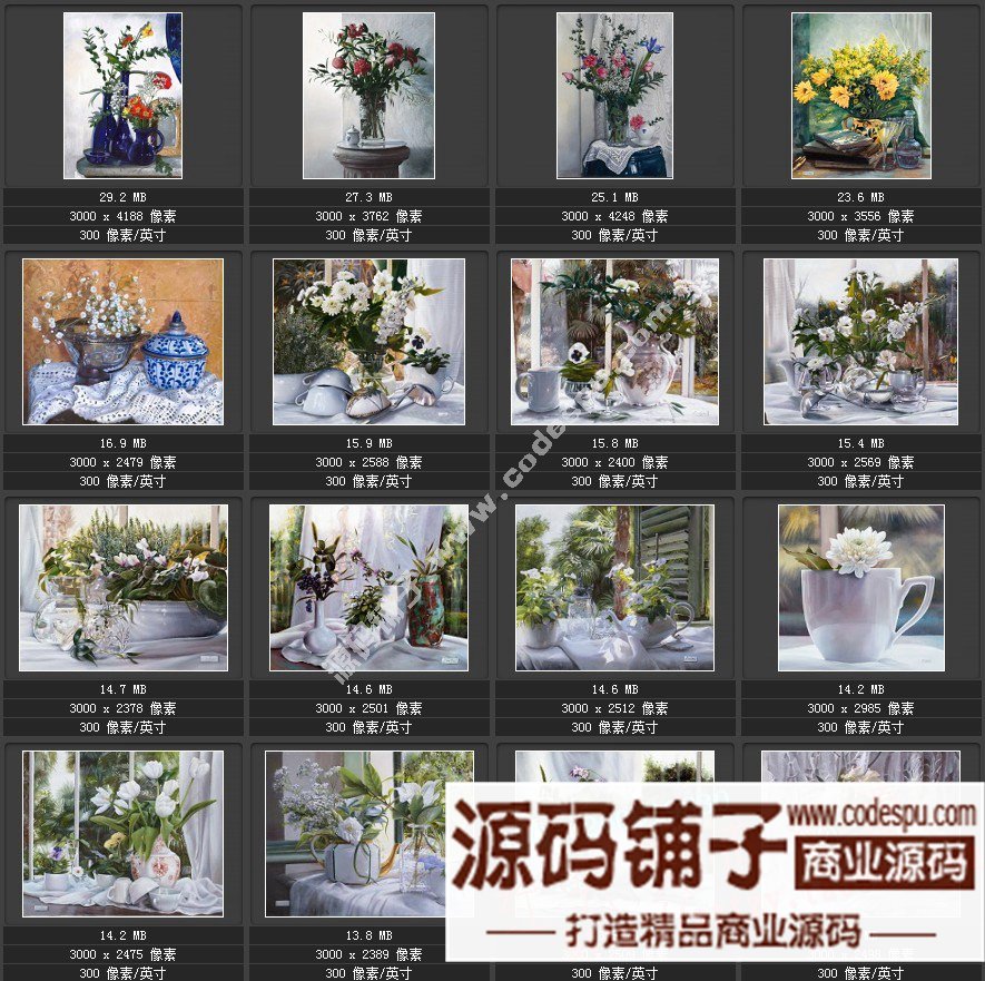 波蘭女畫家Danka Weitzen油畫作品高清圖片 寫實瓷器靜物花卉油畫