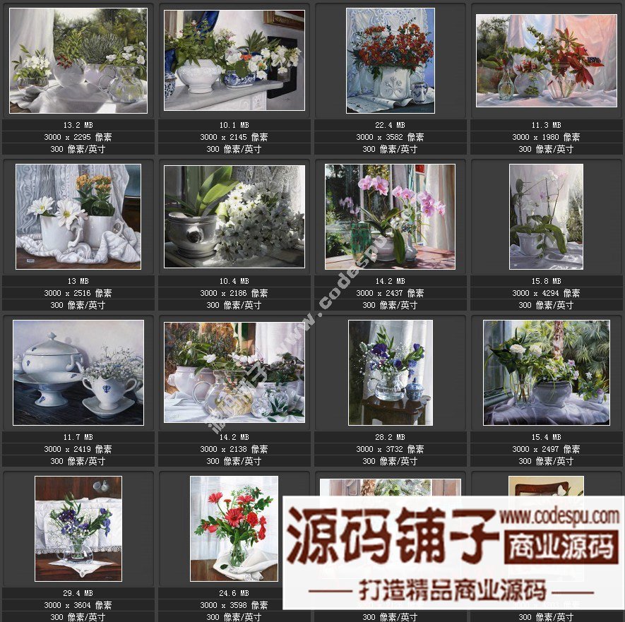 波蘭女畫家Danka Weitzen油畫作品高清圖片 寫實瓷器靜物花卉油畫