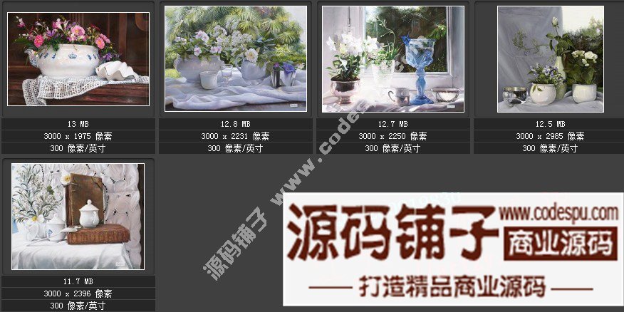 波蘭女畫家Danka Weitzen油畫作品高清圖片 寫實瓷器靜物花卉油畫