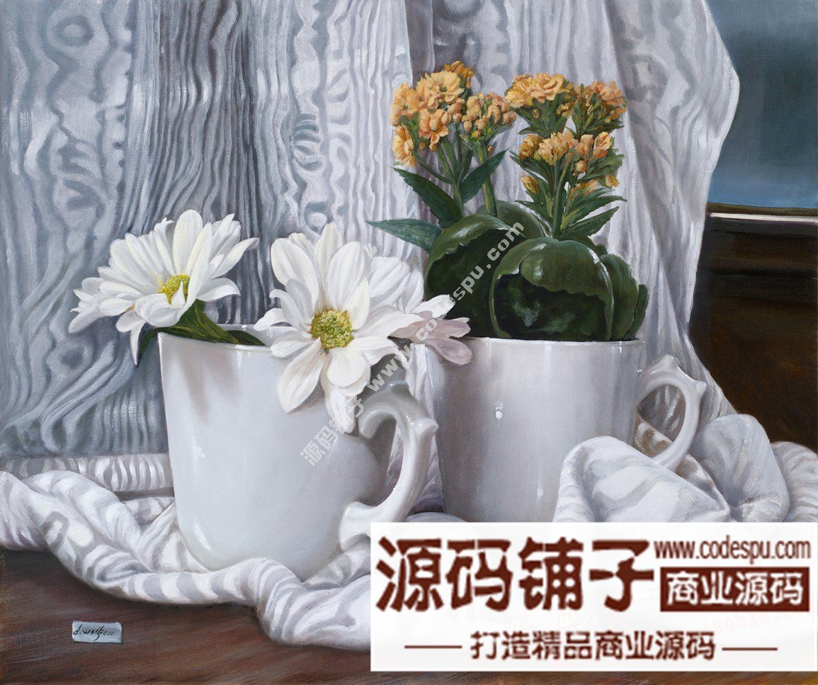 波蘭女畫家Danka Weitzen油畫作品高清圖片 寫實瓷器靜物花卉油畫