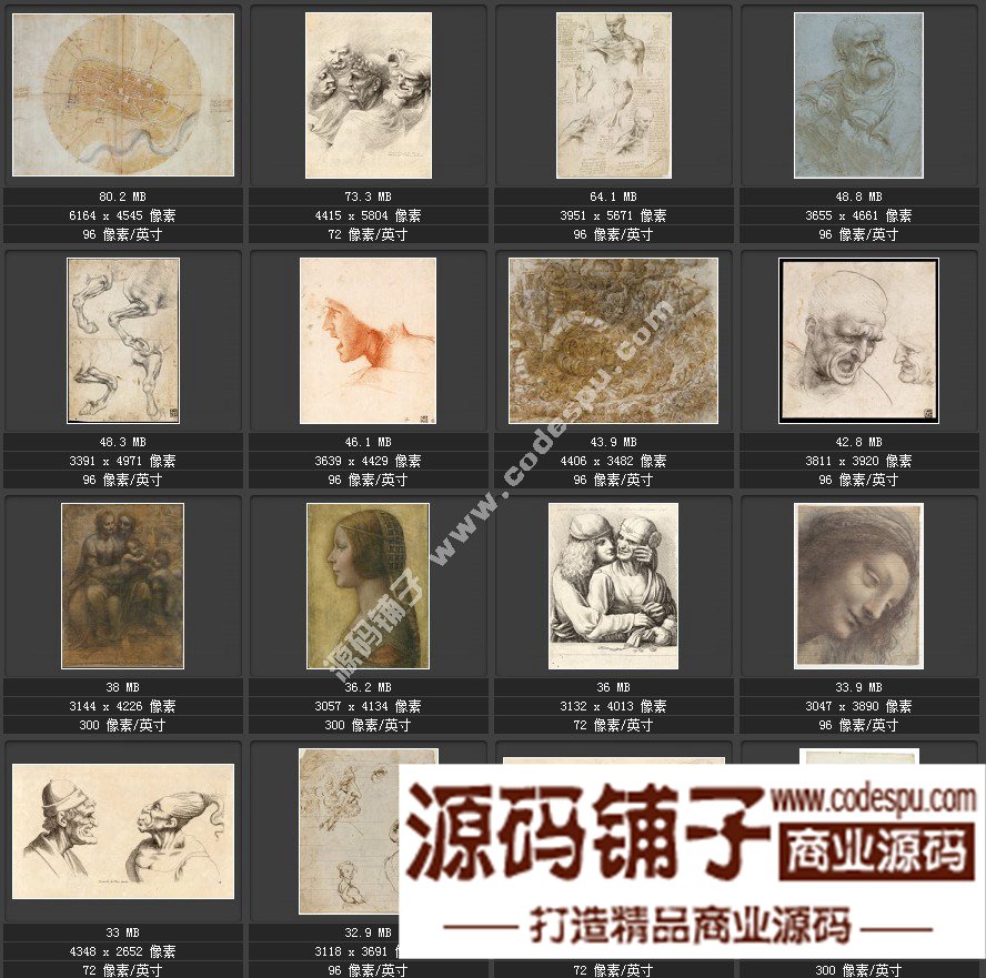 達芬奇 Leonardo da Vinci 繪畫作品高清圖片51幅達芬奇素描作品