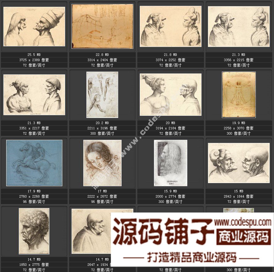 達芬奇 Leonardo da Vinci 繪畫作品高清圖片51幅達芬奇素描作品