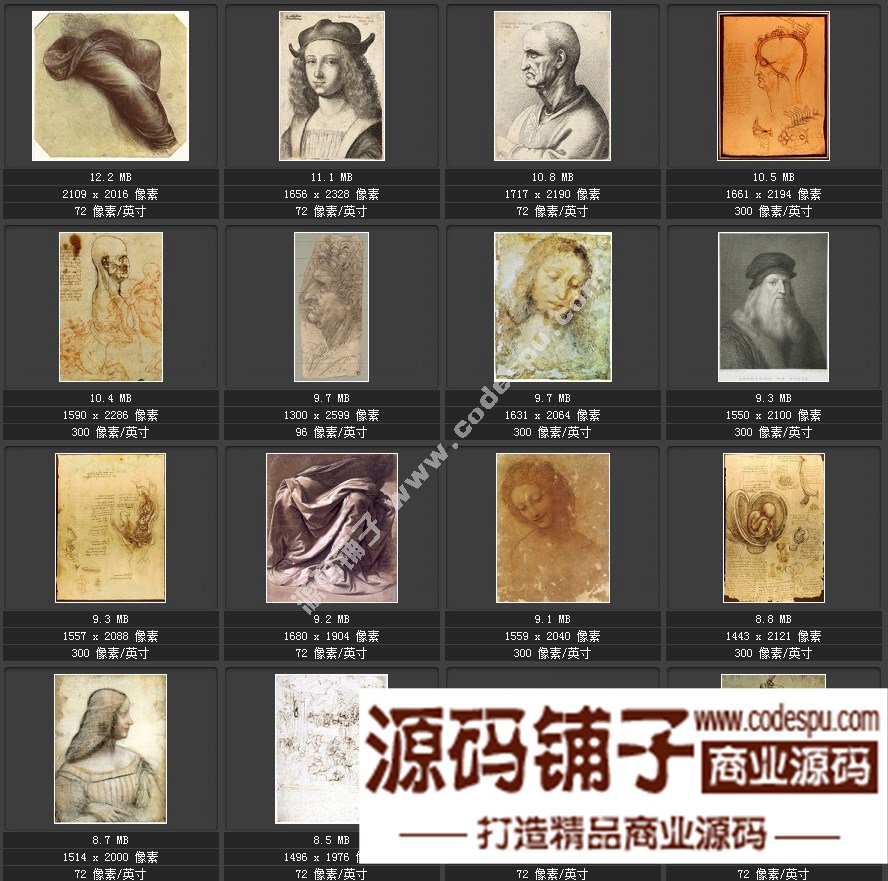 達芬奇 Leonardo da Vinci 繪畫作品高清圖片51幅達芬奇素描作品