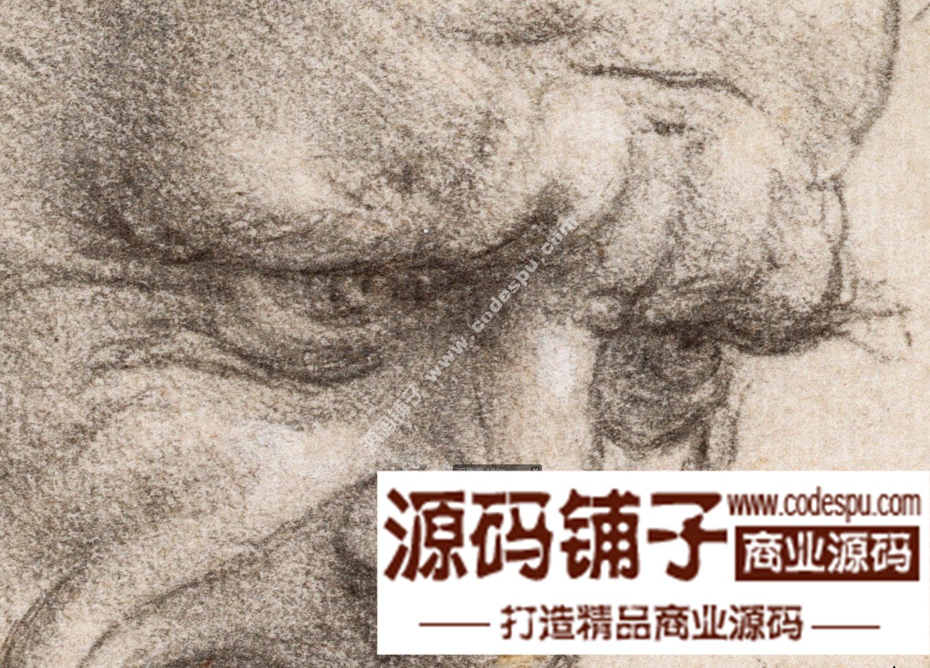 達芬奇 Leonardo da Vinci 繪畫作品高清圖片51幅達芬奇素描作品