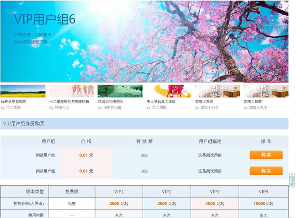 超級VIP用戶組購買_打包版/Discuz插件/Discuz模板/DZ商業模板