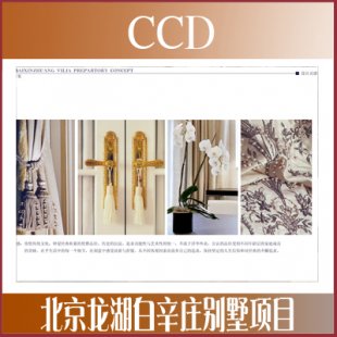 CCD-feĿ҃OӋ+ܛbOӋ199M PPT1