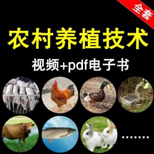 2016r(nng)B(yng)ֳuţüg(sh)ҕl̳ȫ r(nng)(chung)I(y)ٍXĿ0