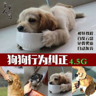 Ӗgҕl̴̳ȫ ȮȮe`ОmYز