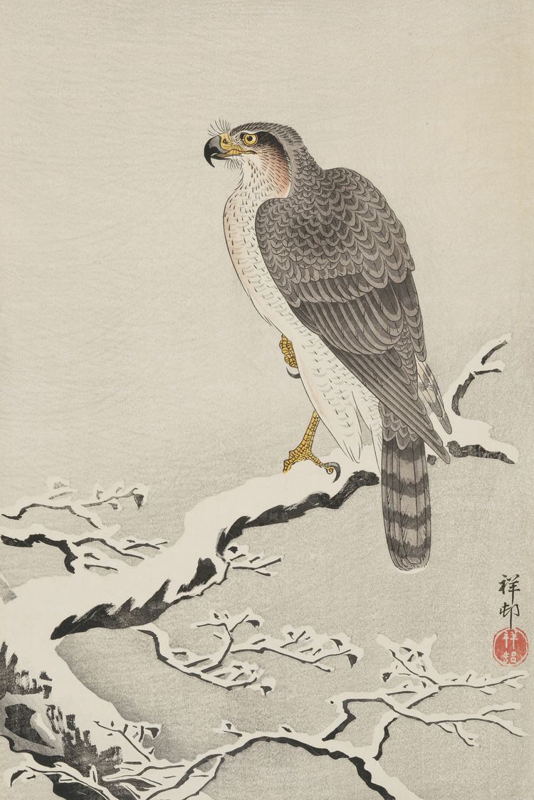 小原古邨高清畫集 花鳥蟲魚繪 近現代 浮世繪 木版畫大圖素材