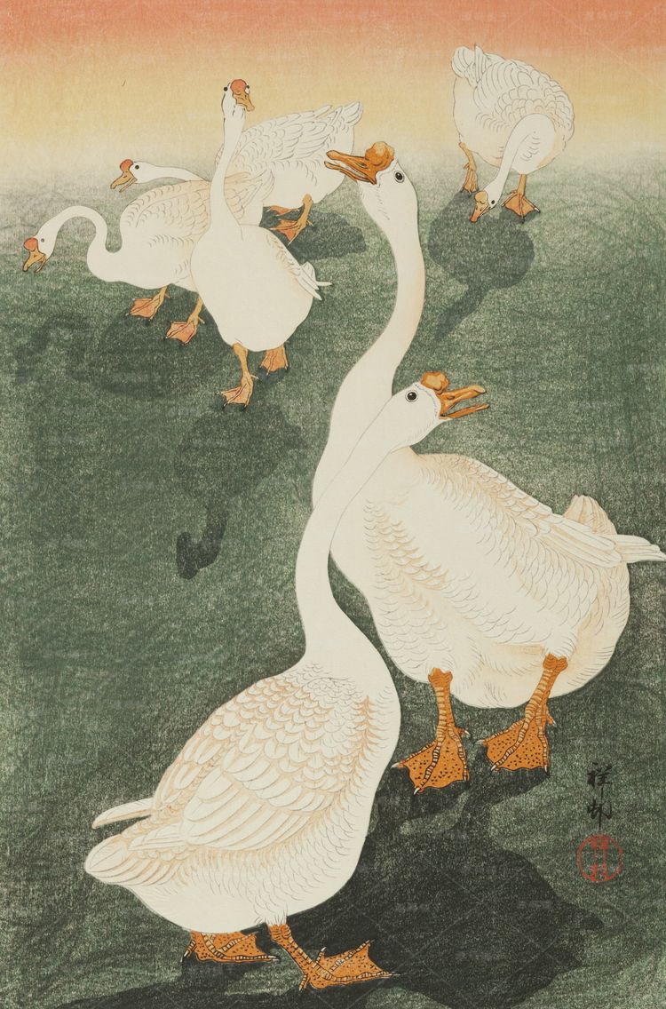 小原古邨高清畫集 花鳥蟲魚繪 近現代 浮世繪 木版畫大圖素材