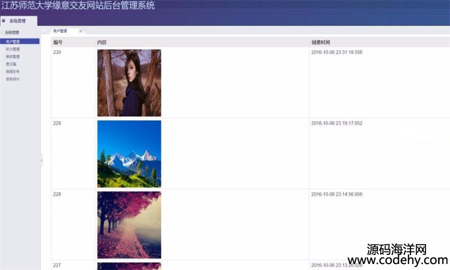 600-漂亮大氣 功能齊全JAVA交友網站源碼(前臺+后臺)