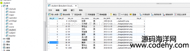 jsp+servlet+jdbc_lWϢ_ϵy