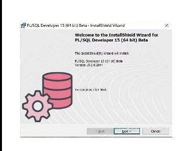 5609-plsql developer 15ܛ CãҪ߅