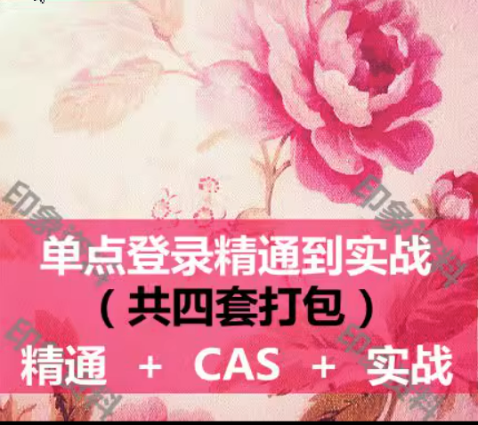 5672-javac(din)Tͨҕl̳ssoϵy(tng)cas(xing)Ŀ(sh)(zhn)jwt token