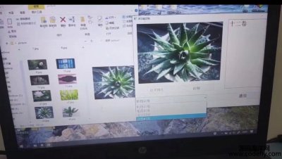 5913-QTƷReԴa{ðٶaiӿ