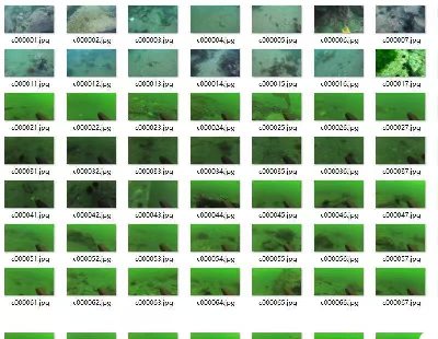 7507-YOLOv8ˮzyN---pЧӑBϲɘDySampleqcĂc