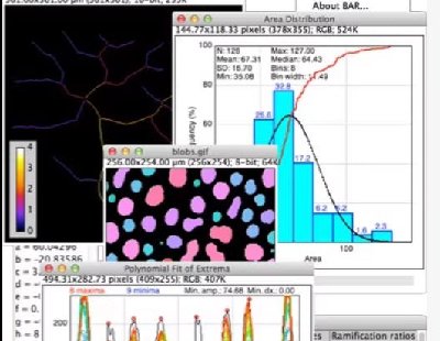  8574-imagej FijiDƬ̎ ImageJһ java, National Institutes of Health(NIH)_lһ