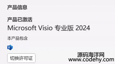  8761-Visio2024bйRȫʹ