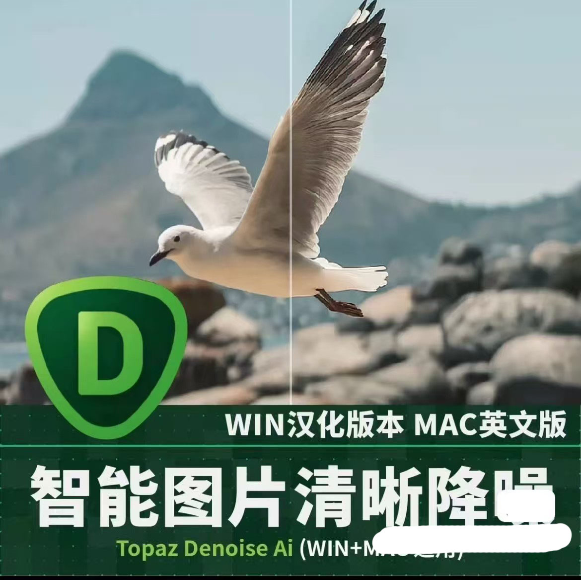  9158-ʷ(qing)DƬܛTopaz DeNoise AI3.7.0(wn)潵c(din)VR